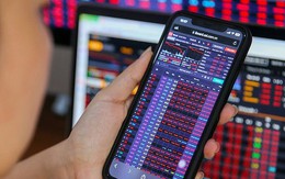 Cấp mã số giao dịch chứng khoán cho 148 nhà đầu tư nước ngoài trong tháng 1/2025