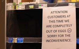 Táo tợn đánh cắp 100.000 quả trứng trị giá hơn 1 tỷ đồng