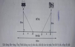 Bài Toán với dữ liệu đang khiến dân tình cười nghiêng ngả: Ông Vinh bị rắn cắn, chất độc lan vào máu nhưng ông chạy từ rừng ra biển!