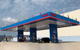 PVOIL muốn thúc công ty liên kết phá sản để có thể chuyển sàn sang HOSE PVOIL muốn thúc công ty liên kết phá sản để có thể chuyển sàn sang HOSE