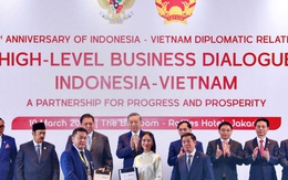 VinFast "bắt tay" Ngân hàng Quốc doanh Indonesia, thúc đẩy chuyển đổi xanh và phát triển bền vững