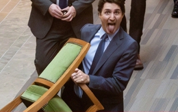 Thủ tướng Canada bê ghế rời khỏi Quốc hội