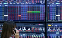 Chứng khoán thế giới rung lắc dữ dội: Cơ hội để thị trường Việt hút vốn ngoại