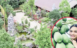Cuộc sống an yên trong biệt phủ hơn 8.000m2 của nữ 789bet có uy tín không chuẩn bị có bến đỗ mới ở tuổi 43