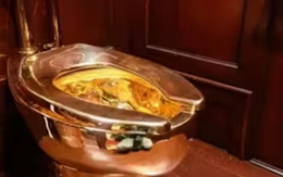 Chiếc bồn cầu vàng hơn 90 tỷ "đắt nhất thế giới" bị đánh cắp trong 5 phút