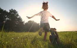 Hội Vân – “Miền đất hứa” của Bất động sản tái tạo