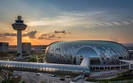 Du khách Anh lăng mạ nhân viên sân bay Changi bị phạt lên tới 9,5 triệu đồng