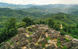 Trà quý như vàng trên núi Tĩnh Mai