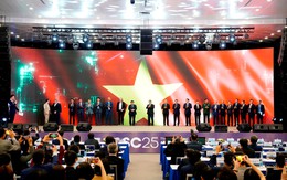 DN nổi tiếng ngành chip: Một lĩnh vực không cần quá nhiều tiền, có thể giúp Việt Nam "thành công rất lớn"