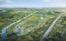 Ecopark và hành trình kiến tạo rừng retreat tiên phong tại Việt Nam