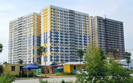 Nhà đầu tư săn tìm căn hộ dòng tiền tại các khu công nghiệp