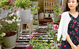 Tận dụng triệt để, không để thừa 1m² nào trên ban công, mẹ đảm không uổng công khi có được cả một "khu vườn nông trại" trên cao