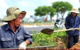 Nghệ An đến Huế nắng rát vượt 37°C, miền Bắc sắp chuyển rét Nghệ An đến Huế nắng rát vượt 37°C, miền Bắc sắp chuyển rét