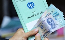 2 cách nộp hồ sơ hưởng trợ cấp thất nghiệp, người lao động cần cập nhật ngay tránh mất thời gian 2 cách nộp hồ sơ hưởng trợ cấp thất nghiệp, người lao động cần cập nhật ngay tránh mất thời gian