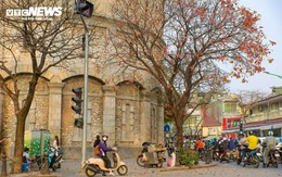 'Góc Paris' giữa lòng Hà Nội tấp nập người check in mùa lộc vừng rụng lá 'Góc Paris' giữa lòng Hà Nội tấp nập người check in mùa lộc vừng rụng lá