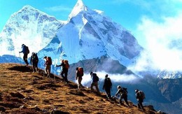 Một doanh nghiệp sắp chốt ngày chi hơn 150 tỷ trả cổ tức tiền mặt, thị giá liên tiếp lập đỉnh lịch sử