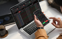 DNSE lên kế hoạch chào bán 85,65 triệu cổ phiếu ra công chứng