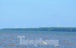 Sắp đấu thầu 5 dự án điện gió hơn 13.800 tỷ ở Trà Vinh