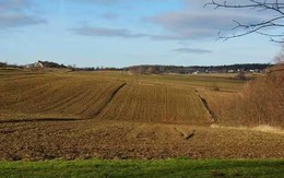 Đang làm việc trên đồng, người nông dân bất ngờ phát hiện "kho báu" cực hiếm