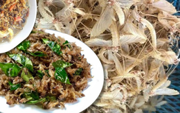 Đặc sản sông Hồng mùa này: Đắt tới 500 nghìn/kg nhưng vẫn chẳng có mà mua, nấu món nào cũng ngon "hết sảy"