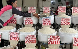 Giá gạo giảm mạnh, Thủ tướng chỉ đạo khẩn