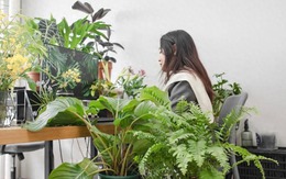 "Phơi bày" sự thật đằng sau bức ảnh chụp cô nhân viên văn phòng khiến nhiều người thức tỉnh