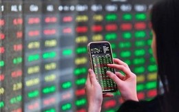 Cổ phiếu 'hoa tiêu' bùng nổ