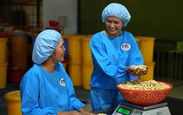 Công ty ofi Việt Nam được vinh danh tại giải thưởng WEPs của UN WOMEN Công ty ofi Việt Nam được vinh danh tại giải thưởng WEPs của UN WOMEN