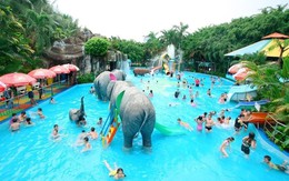 "Thiên đường giải nhiệt giữa lòng Sài Thành" sắp chốt ngày trả cổ tức tiền mặt "Thiên đường giải nhiệt giữa lòng Sài Thành" sắp chốt ngày trả cổ tức tiền mặt