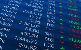 Chứng khoán tuần qua: Thị trường tiếp đà thăng hoa”, cổ phiếu “họ” Vin nổi sóng