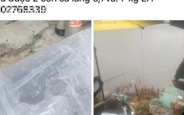 Vụ câu chuyện “lòng tham”: Bất ngờ với “lời trần tình” của nhân vật chính! Vụ câu chuyện “lòng tham”: Bất ngờ với “lời trần tình” của nhân vật chính!