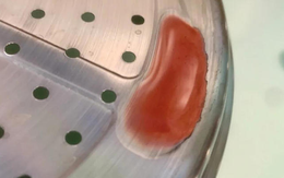 Nhanh chóng loại bỏ 5 thứ này ra khỏi bếp, tiếp xúc càng lâu càng nạp nhiều chất độc vào người: Bếp nhà nào cũng có