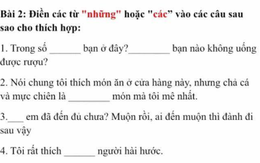 Bài tập tiếng Việt dưới đây sẽ khiến bạn hoài nghi về khả năng dùng tiếng mẹ đẻ của chính mình