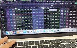 Chứng khoán tuần tới (14 đến 18-4): Cơ hội sau cú sốc thuế quan Mỹ