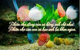 Vì sao trend thơ ngắn "phiên chợ đông, phiên chợ tình" khiến dân tình "phát sốt"? Vì sao trend thơ ngắn "phiên chợ đông, phiên chợ tình" khiến dân tình "phát sốt"?