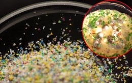 Loại hải sản được ca tụng vì bổ dưỡng nhưng ‘ngậm’ vi nhựa nhiều bậc nhất: 2 lưu ý khi ăn