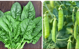 Những loại rau quả giá rẻ nhưng giàu Omega-3, có nhiều ở Việt Nam