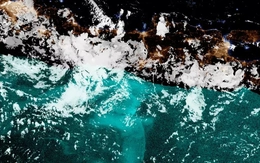 Giải mã hiện tượng 'biển sữa' suốt 400 năm khiến giới khoa học bối rối