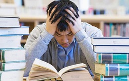 Sau kì nghỉ lễ dài, con trai tôi đã “điên cuồng” học tập, nhưng điểm số lại ngày càng giảm sút, thì ra sự chăm chỉ ngốc nghếch chỉ làm mọi chuyện tồi tệ hơn