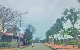Quảng Bình: Khởi tố 22 bị can liên quan đến đại án Cây xanh Công Minh Quảng Bình: Khởi tố 22 bị can liên quan đến đại án Cây xanh Công Minh
