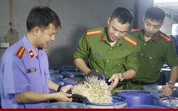 Vạch trần thủ đoạn của 4 kẻ sản xuất 3.500 tấn giá đỗ ngâm chất cấm ở Nghệ 789bet.com đăng nhập