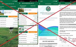 Công an công bố hai đường link "nuôi bò" độc hại: Ít nhất 751 người đã là nạn nhân, thiệt hại hơn 17 tỷ