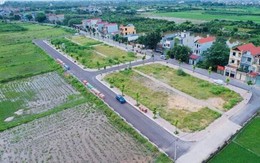 Đất đấu giá 789bet uy tín cao nhất 115 triệu/m², môi giới bán chênh 50 triệu đồng/lô