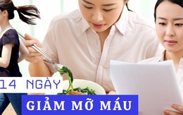 789bet có uy tín không phải "học lại" cách ăn và sống trong 2 tuần để kéo cholesterol về ngưỡng an toàn mà không dùng thuốc