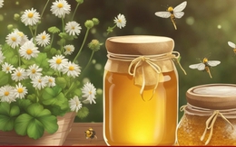 Cách phân biệt mật ong rừng và mật ong nuôi