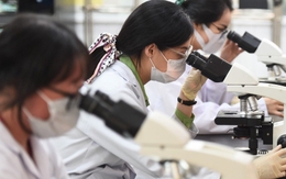 Chuyên gia cao cấp được hưởng chế độ về công vụ tương đương Bộ trưởng Chuyên gia cao cấp được hưởng chế độ về công vụ tương đương Bộ trưởng