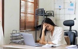 Kế khuyến mãi 789bet nhận lệnh sếp, chuyển khoản 1,3 tỷ đồng cho lừa đảo, công ty khởi kiện đòi bồi thường, tòa phán: "Cô chỉ cần trả 10%, doanh nghiệp cũng có lỗi"