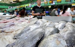 Ra chợ gặp 5 loại cá này, tươi ngon, rẻ mấy cũng đừng mua Ra chợ gặp 5 loại cá này, tươi ngon, rẻ mấy cũng đừng mua