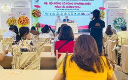 1 DN bất động sản phía Nam lên kế hoạch lợi nhuận tăng khuyến mãi 789bet 5 lần, cổ đông lớn REE Land đề cử Thành viên HĐQT mới