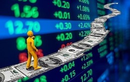 CTCK gọi tên 8 cổ phiếu Bluechips đầu đánh đề online 789betành định giá hấp dẫn, nhiều tiềm năđánh đề online 789bet tăđánh đề online 789bet trưởđánh đề online 789bet trođánh đề online 789bet tươđánh đề online 789bet lai